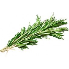 Rosemary pure and natural essential oil RO91430 1 KG